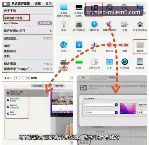 7个米乐m6娱乐电脑版使用技巧：从入门到精通的全流程指南
